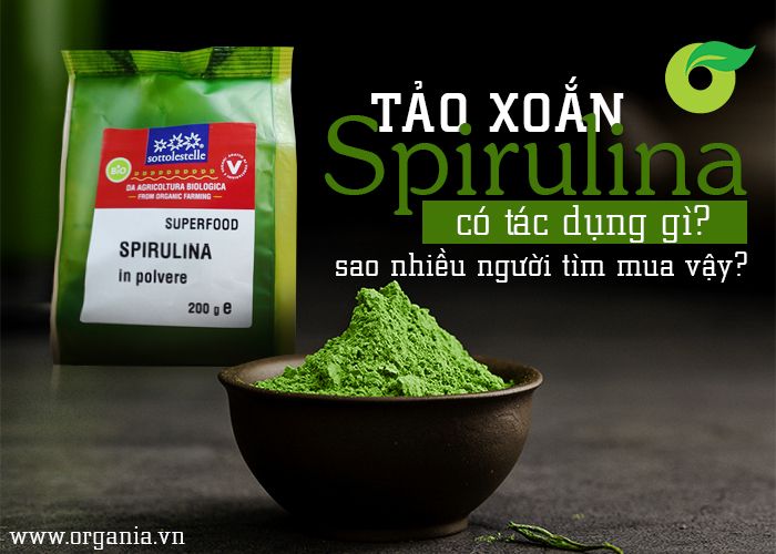 Tảo xoắn Spirulina có tác dụng gì, sao nhiều người tìm mua vậy?