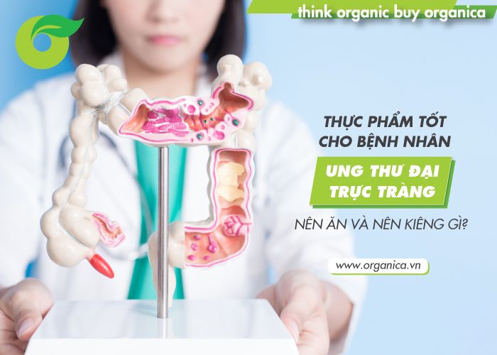 Thực phẩm tốt cho bệnh nhân ung thư đại trực tràng: Nên ăn và nên kiêng gì?