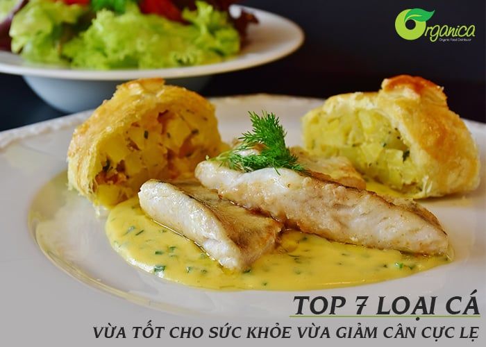 Top 7 loại cá vừa tốt cho sức khỏe vừa giảm cân cực lẹ