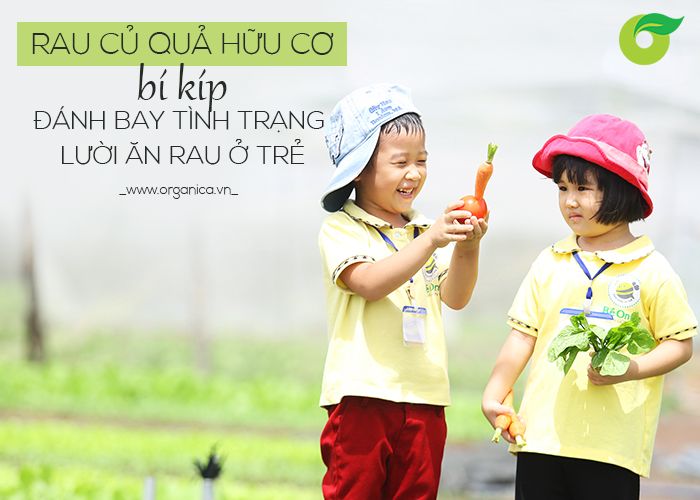 Rau củ quả hữu cơ - Bí kíp “đánh bay” tình trạng lười ăn rau ở trẻ
