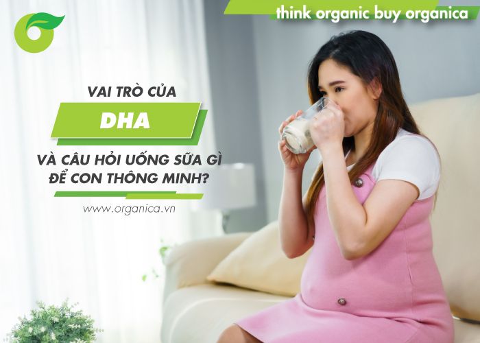 Vai trò của DHA và câu hỏi Uống sữa gì để con thông minh?