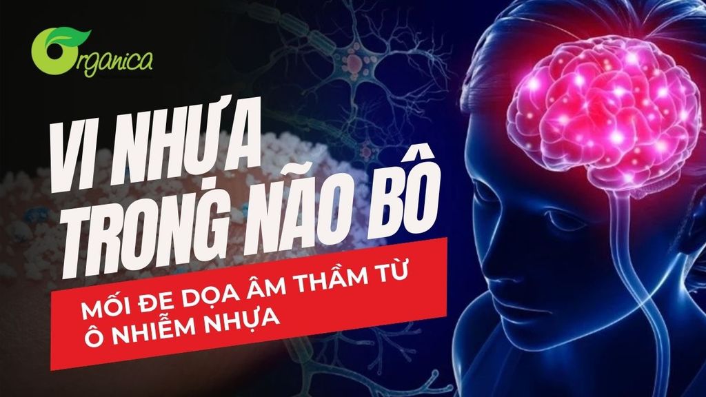 Vi Nhựa Trong Não Người: Mối Đe Dọa Âm Thầm Từ Ô Nhiễm Nhựa