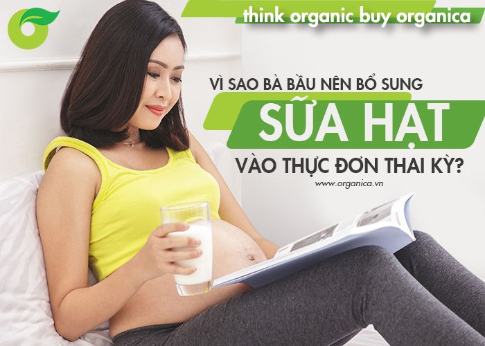 Vì sao bà bầu nên bổ sung sữa hạt vào thực đơn thai kỳ?