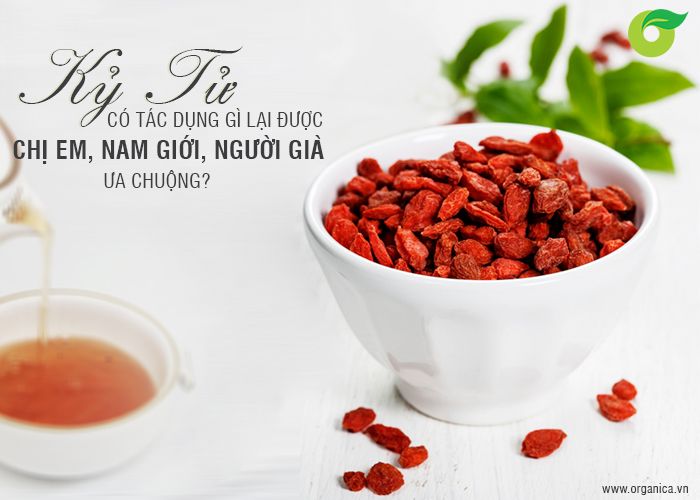 Kỷ tử có tác dụng gì lại được chị em, nam giới và người già ưa chuộng?