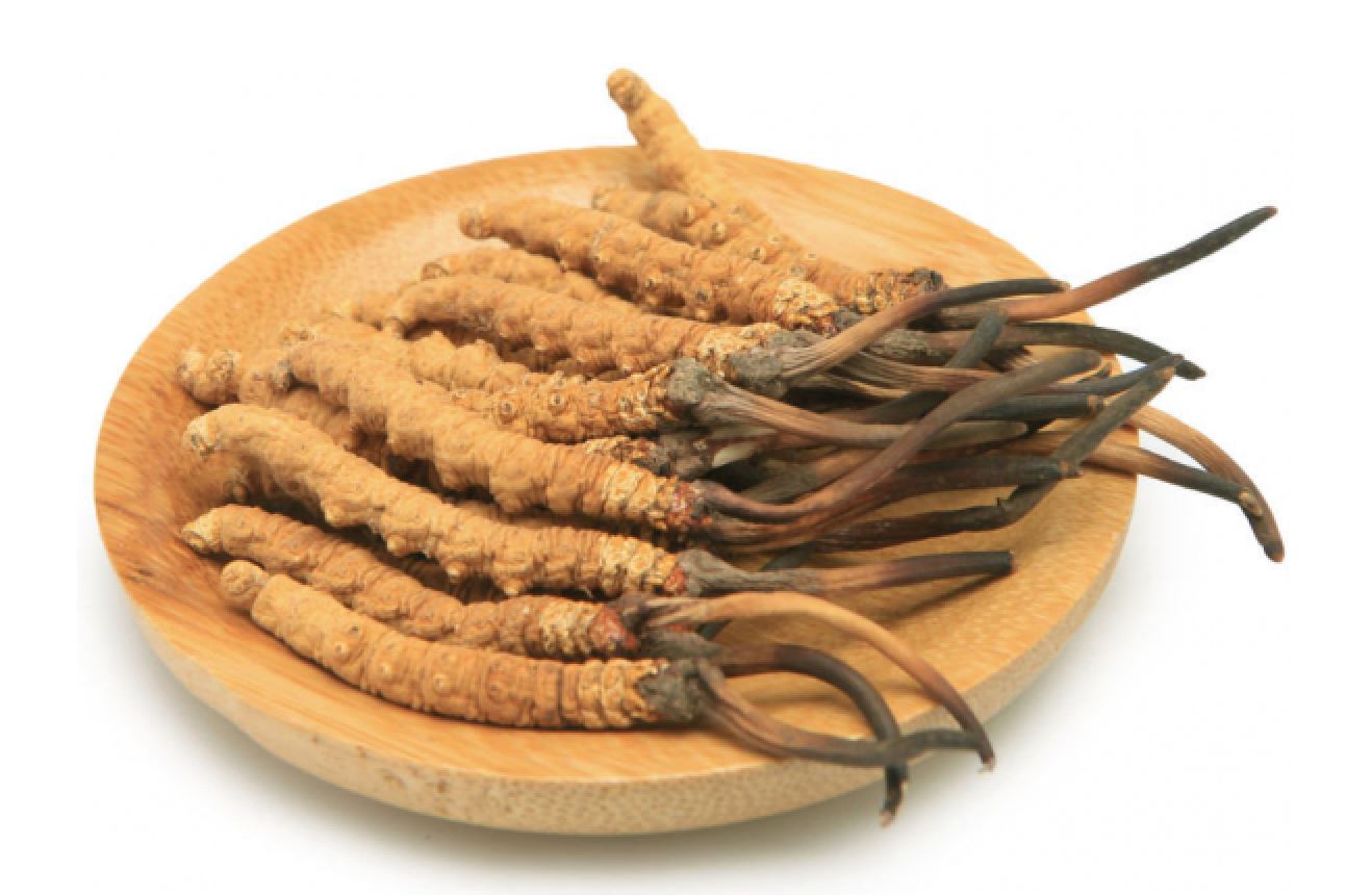 Cách phân loại đông trùng hạ thảo