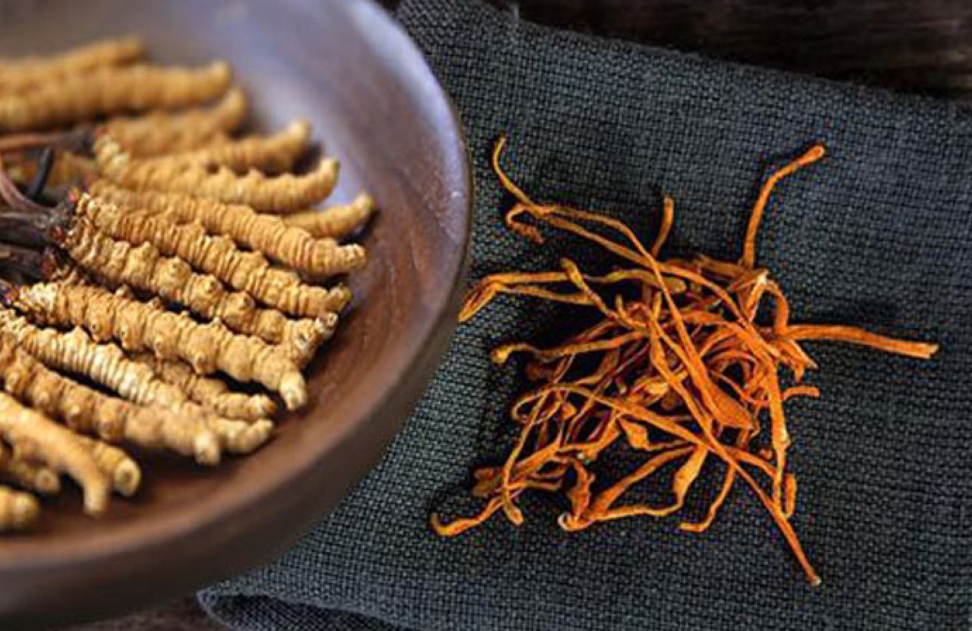 Hướng dẫn sử dụng đông trùng hạ thảo đúng cách