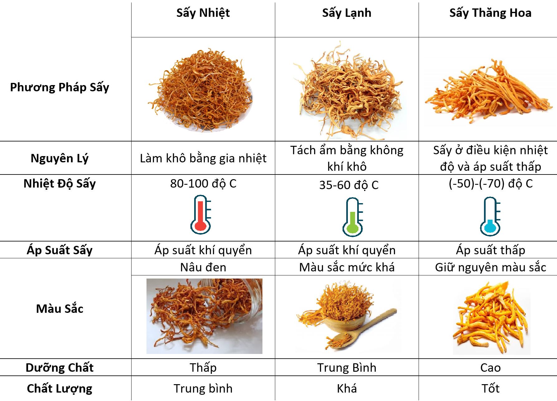 Các phương pháp sấy đông trùng hạ thảo
