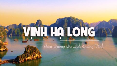 Cẩm Nang Du Lịch Hạ Long