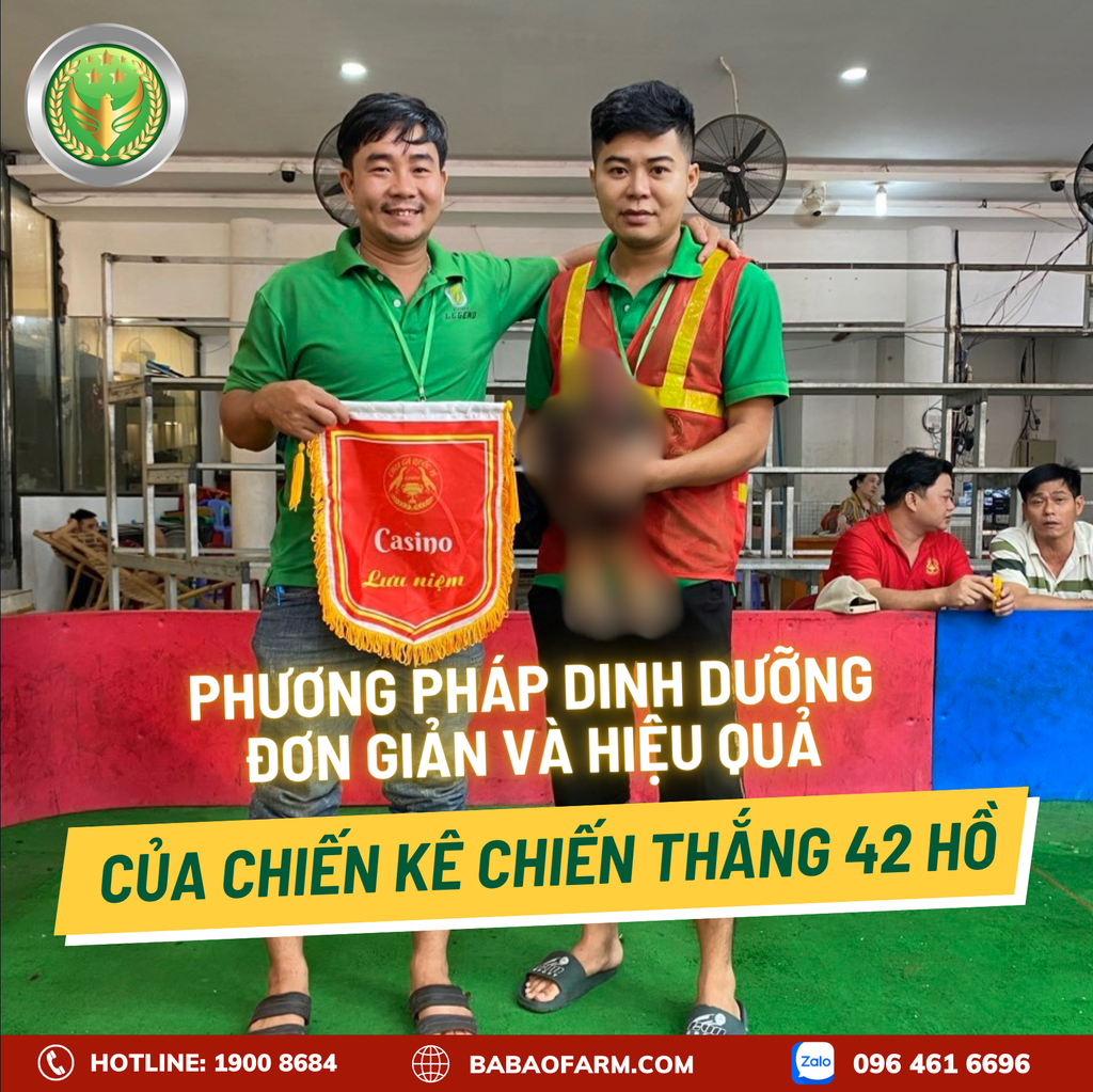 PHƯƠNG PHÁP DINH DƯỠNG ĐƠN GIẢN VÀ HIỆU QUẢ CỦA CHIẾN KÊ CHIẾN THẮNG 42 HỒ