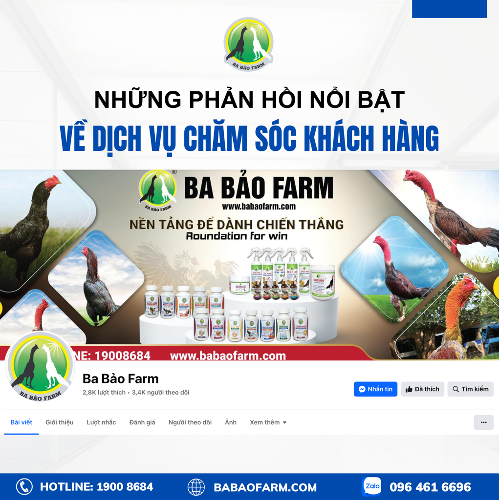 NHỮNG PHẢN HỒI NỔI BẬT VỀ DỊCH VỤ CHĂM SÓC KHÁCH HÀNG TẠI BA BẢO FARM