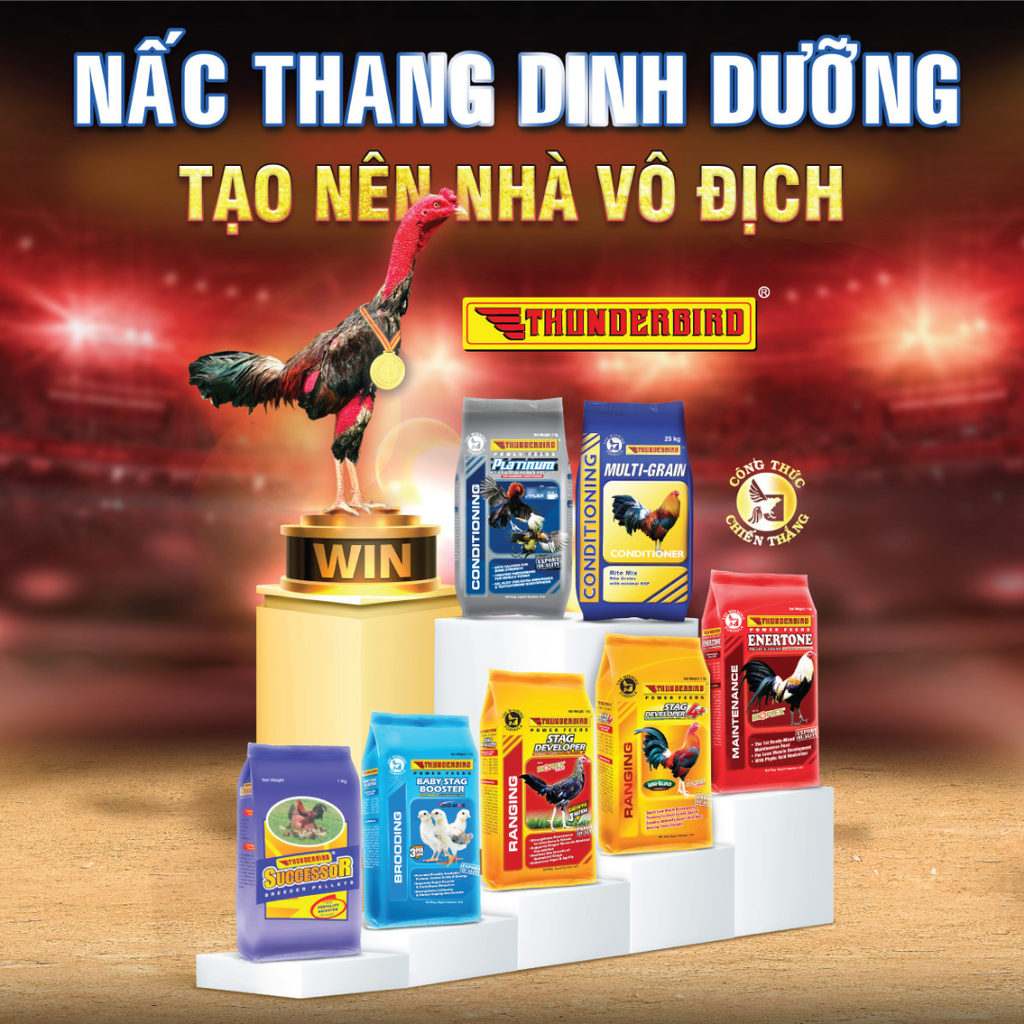 CHÀO MỪNG BẠN ĐẾN VỚI GIAN HÀNG THUNDERBIRD - NẤC THANG DINH DƯỠNG TẠO NÊN NHÀ VÔ ĐỊCH!