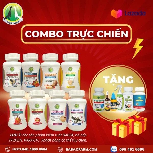 TĂNG CƯỜNG DINH DƯỠNG VÀ THỂ CHẤT CHO CHIẾN KÊ BẰNG BỘ SẢN PHẨM TRỰC CHIẾN LEGEND