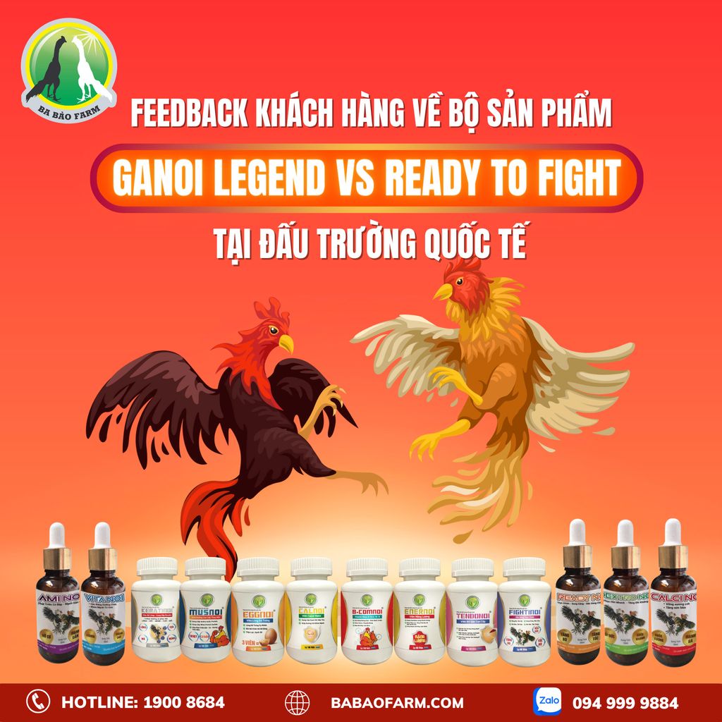 CHIẾN THẮNG ĐẦU NĂM CỦA CHIẾN KÊ ĐƯỢC KHÁCH HÀNG CHĂM SÓC BẰNG SẢN PHẨM CỦA BA BẢO FARM