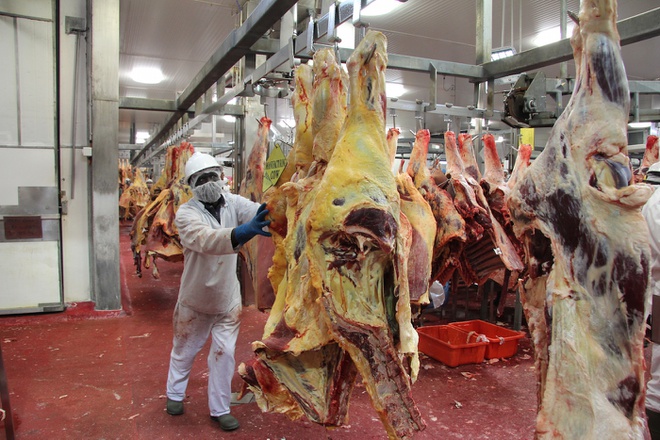 Is going to Australia under 482 Visa a labour export?