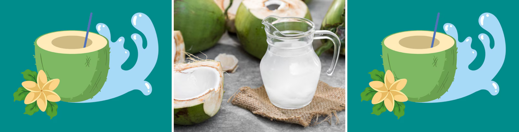 Cách bảo quản nước dừa đã bổ: Mẹo giữ chất điện giải và khoáng chất