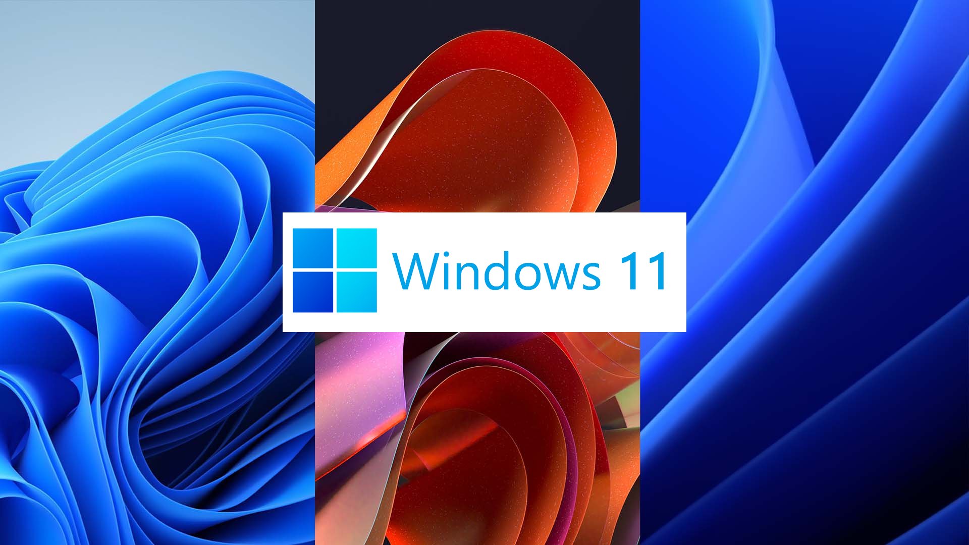 Hình nền Win 11 4K cực đẹp - Ảnh nền windows 11 đẹp nhất