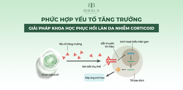 PHỨC HỢP YẾU TỐ TĂNG TRƯỞNG - GIẢI PHÁP KHOA HỌC PHỤC HỒI LÀN DA NHIỄM CORTICOID