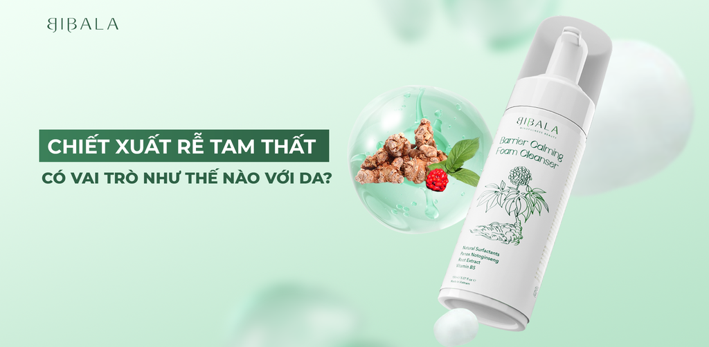 CHIẾT XUẤT RỄ TAM THẤT CÓ VAI TRÒ NHƯ THẾ NÀO VỚI DA?