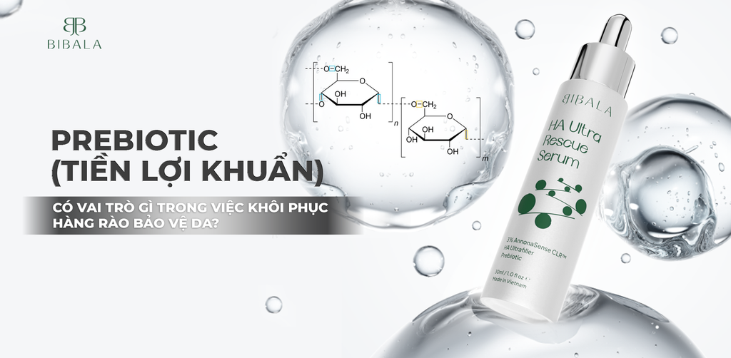 PREBIOTIC (TIỀN LỢI KHUẨN) CÓ VAI TRÒ GÌ TRONG VIỆC KHÔI PHỤC HÀNG RÀO BẢO VỆ DA?