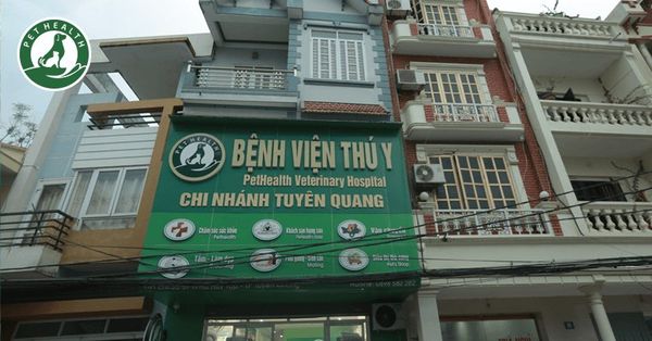 Chi nhánh Tuyên Quang