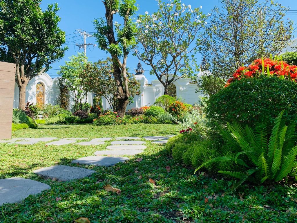 THI CÔNG SÂN VƯỜN MR HẢI QUẬN 2