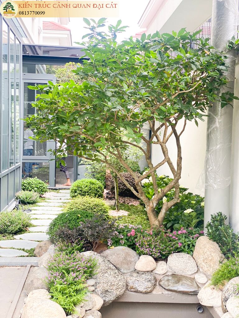 THI CÔNG CẢNH QUAN SÂN VƯỜN CHỊ KIM CƯƠNG SALA