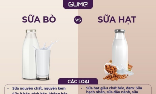 Máy sữa hạt - Xu hướng cho phụ nữ hiện đại khoẻ đẹp