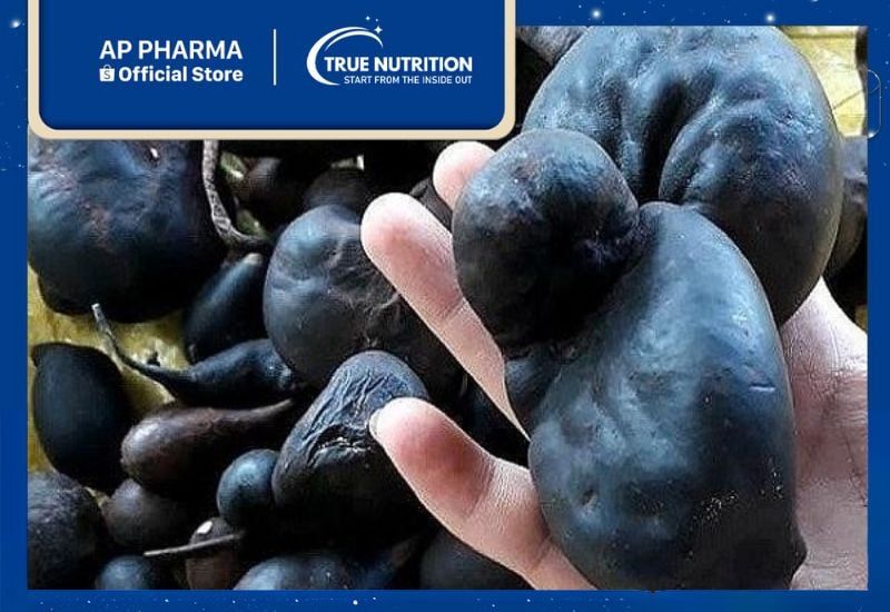 Sâm Ô Linh (Xylaria nigripes) Dược Liệu Quý Giúp Trường Thọ