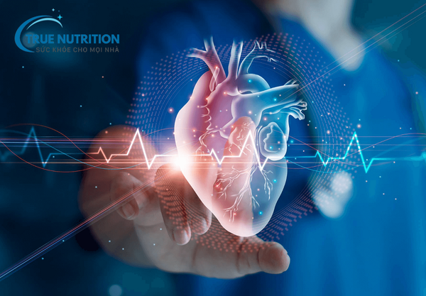 Biến Chứng Tim Mạch Của Bệnh Tiểu Đường