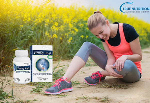 Vương Hoạt là Thuốc Hay Thực Phẩm Chức Năng? Tìm Hiểu Chi Tiết!