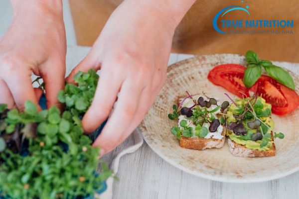 Canxi vs Phốt Pho và Kẽm: Bí Quyết Cân Bằng Để Xương Khỏe Mạnh!