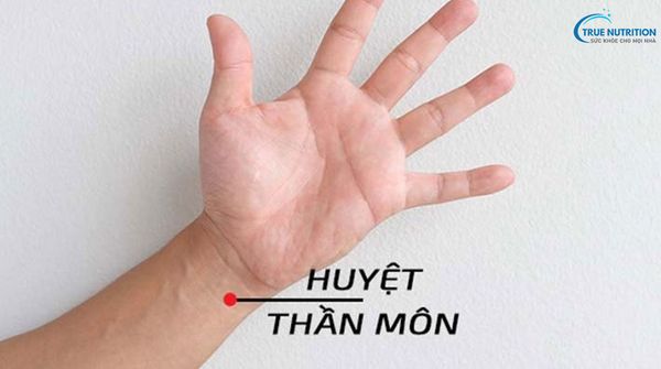 Huyệt Thần Môn: Vai Trò, Tác Dụng Và Ứng Dụng Trong Đông Y