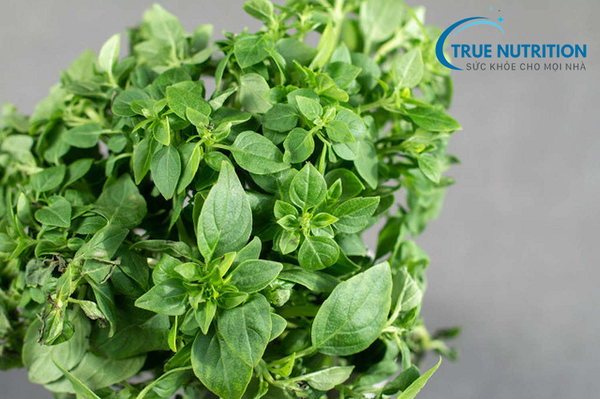 Điều Trị Bệnh Tiểu Đường Bằng Liệu Pháp Tự Nhiên