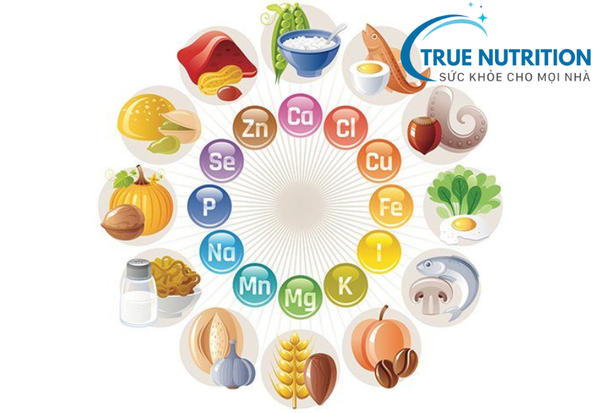 Dinh Dưỡng Cho Người Bệnh Xương Khớp: Chế Độ Ăn Uống Hỗ Trợ Sức Khỏe Xương