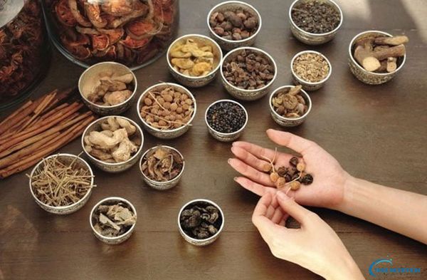 Cây thuốc nam chữa suy giãn tĩnh mạch: Hiệu quả, an toàn và tiết kiệm