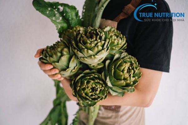 Thanh Lọc Cơ Thể: Bí Quyết Sống Khỏe Cho Người Cao Tuổi