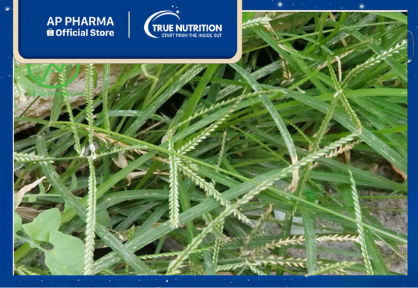 cây cỏ mần trầu