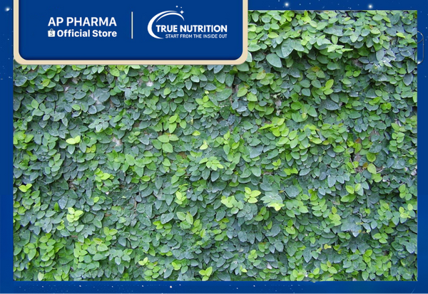 cây tắc kè thái