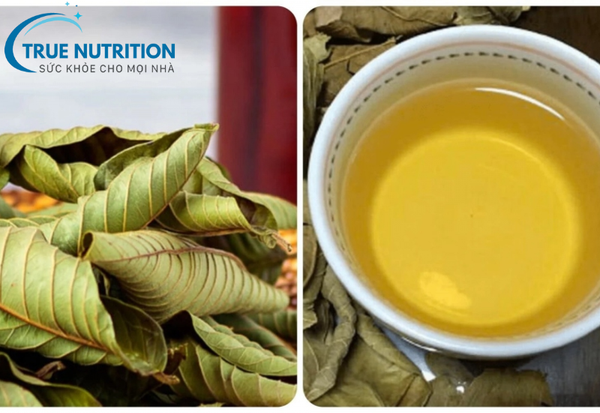 Uống Nước Lá Ổi Có Hạ Đường Huyết Không? Tìm Hiểu Lợi Ích Sức Khỏe Bất Ngờ Cho Người Tiểu Đường!