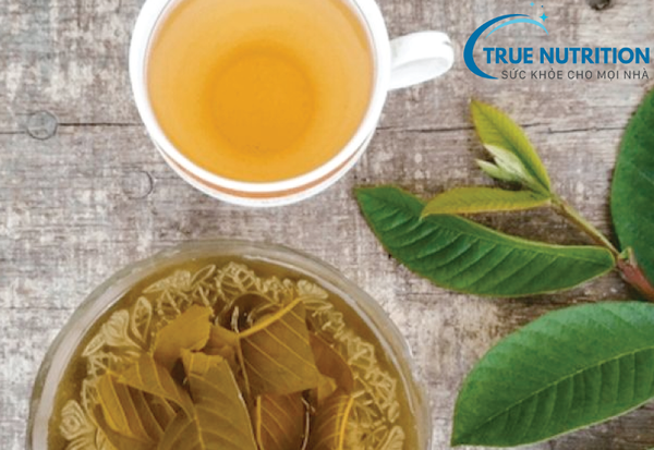 Uống Nước Lá Ổi Có Hạ Đường Huyết Không? Tìm Hiểu Lợi Ích Sức Khỏe Bất Ngờ Cho Người Tiểu Đường!