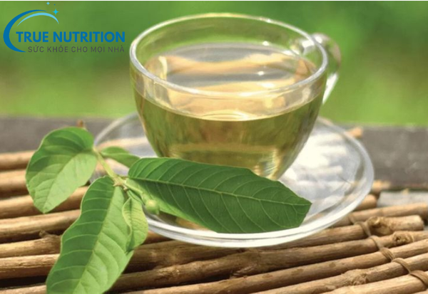 Uống Nước Lá Ổi Có Hạ Đường Huyết Không? Tìm Hiểu Lợi Ích Sức Khỏe Bất Ngờ Cho Người Tiểu Đường!