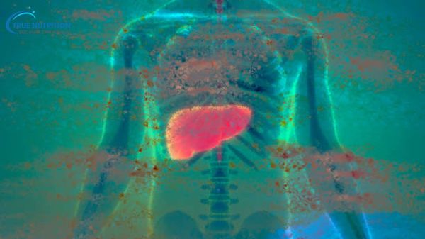 Gan nhiễm mỡ có đau bụng không?