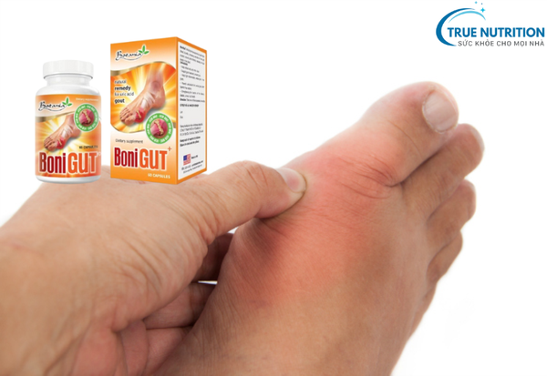 Giá Bán Bonigut: Bí Quyết Chọn Sản Phẩm Chất Lượng