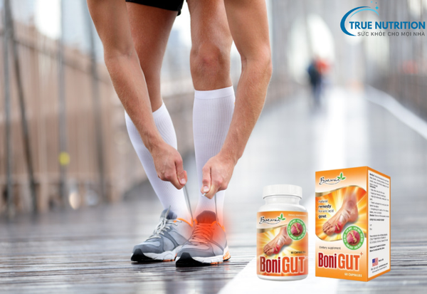 Giá Bán Bonigut: Bí Quyết Chọn Sản Phẩm Chất Lượng