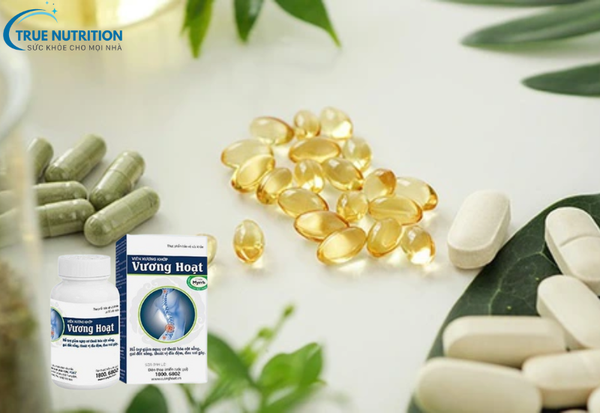 Vương Hoạt là Thuốc Hay Thực Phẩm Chức Năng? Tìm Hiểu Chi Tiết!