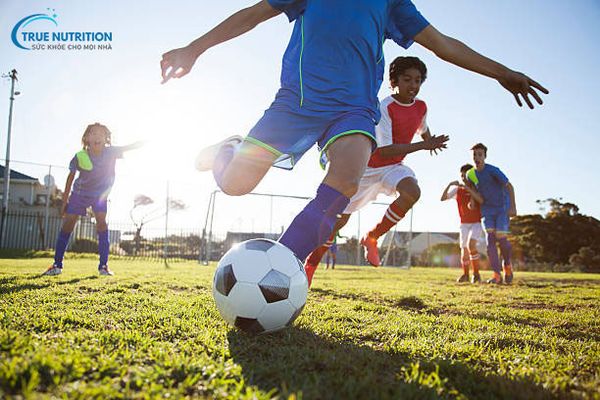 Gen Chiếm Bao Nhiêu Phần Trăm Chiều Cao? Yếu Tố Nào Quan Trọng?