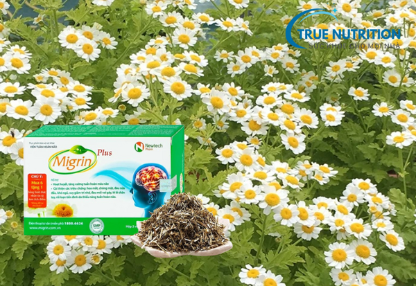 Migrin Plus có thành phần gì