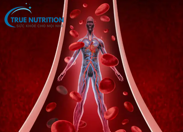 Biến Chứng Mạch Máu Nhỏ Của Bệnh Tiểu Đường