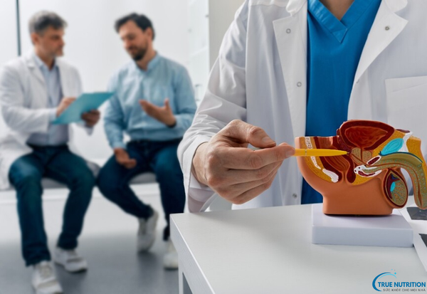 Tại Sao Bị Bệnh Vô Sinh Nam? Những Yếu Tố Gây Ra Và Cách Phòng Ngừa