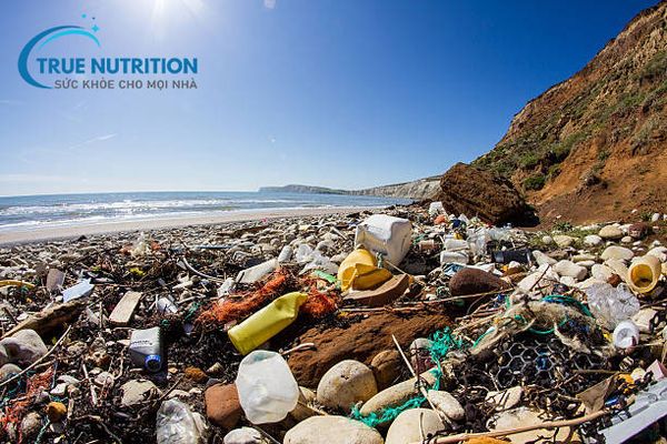 Ô nhiễm không khí liệu có gây suy giảm tuổi thọ?